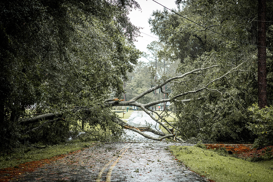 2510_Storm_Activation_Images2.jpg
